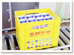 沖縄　EM玉城牧場牛乳　8 . 口が閉じられたパックを機械によってケースに入れます。